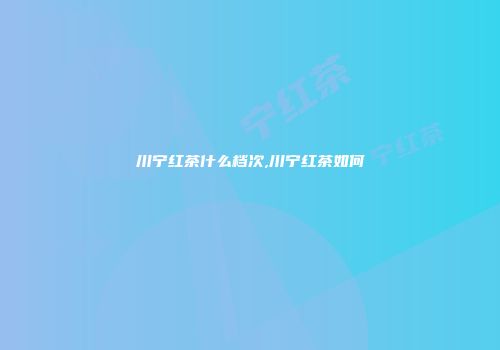 川宁红茶什么档次,川宁红茶如何
