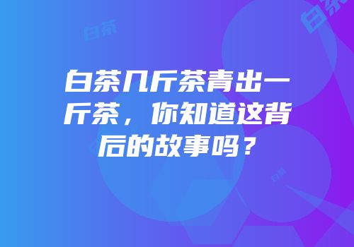 白茶几斤茶青出一斤茶，你知道这背后的故事吗？
