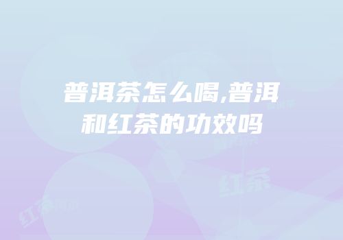 普洱茶怎么喝,普洱和红茶的功效吗