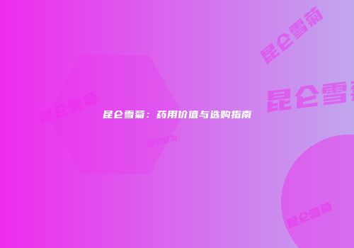 昆仑雪菊：药用价值与选购指南
