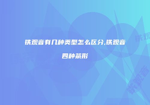 铁观音有几种类型怎么区分,铁观音四种茶形
