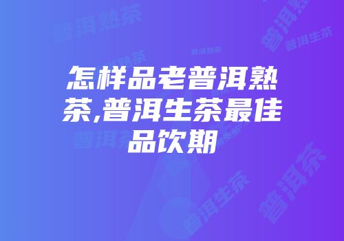 怎样品老普洱熟茶,普洱生茶最佳品饮期