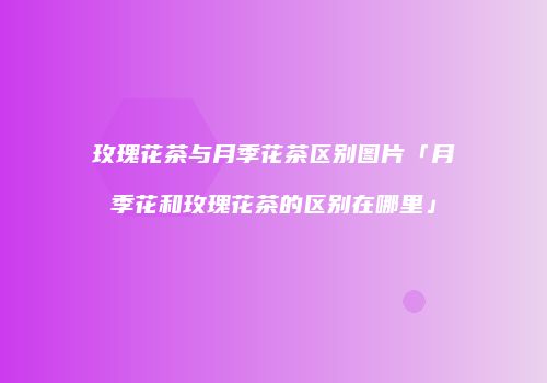 玫瑰花茶与月季花茶区别图片「月季花和玫瑰花茶的区别在哪里」