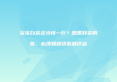 安溪白茶多少钱一斤？想喝好茶的你，必须知道这些知识点