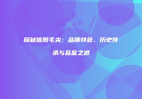 探秘信阳毛尖：品质特色、历史传承与品鉴之道