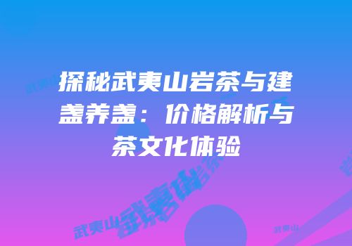 探秘武夷山岩茶与建盏养盏：价格解析与茶文化体验