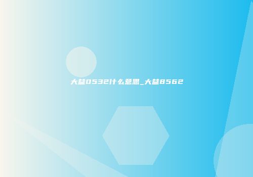 大益0532什么意思_大益8562