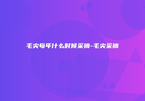 毛尖每年什么时候采摘-毛尖采摘