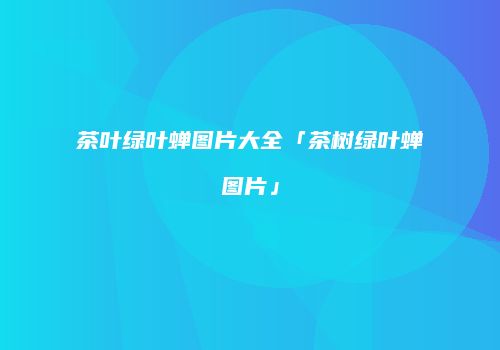 茶叶绿叶蝉图片大全「茶树绿叶蝉图片」