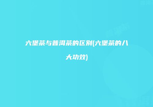 六堡茶与普洱茶的区别(六堡茶的八大功效)