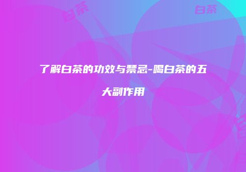 了解白茶的功效与禁忌-喝白茶的五大副作用