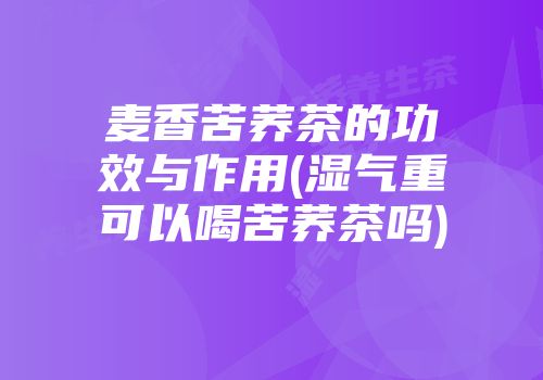 麦香苦荞茶的功效与作用(湿气重可以喝苦荞茶吗)