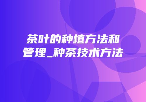 茶叶的种植方法和管理_种茶技术方法