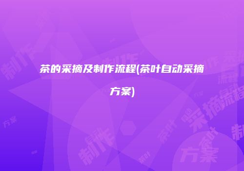 茶的采摘及制作流程(茶叶自动采摘方案)