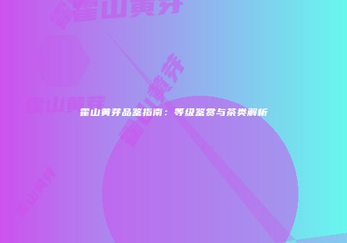 霍山黄芽品鉴指南：等级鉴赏与茶类解析