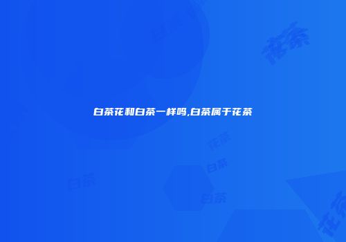 白茶花和白茶一样吗,白茶属于花茶