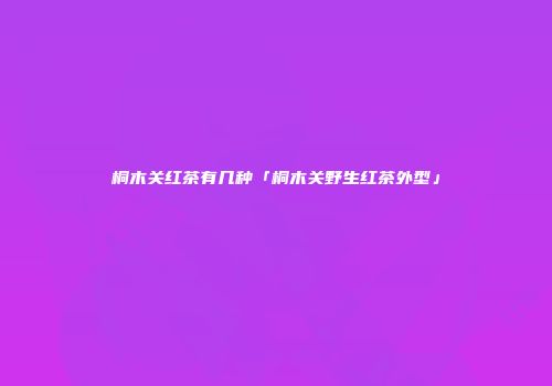 桐木关红茶有几种「桐木关野生红茶外型」