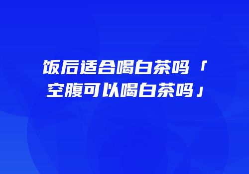 饭后适合喝白茶吗「空腹可以喝白茶吗」