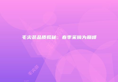 毛尖茶品质揭秘：春季采摘为巅峰
