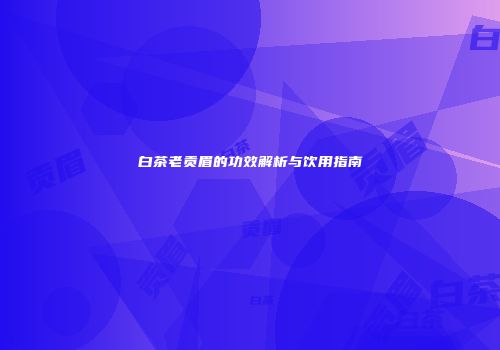 白茶老贡眉的功效解析与饮用指南