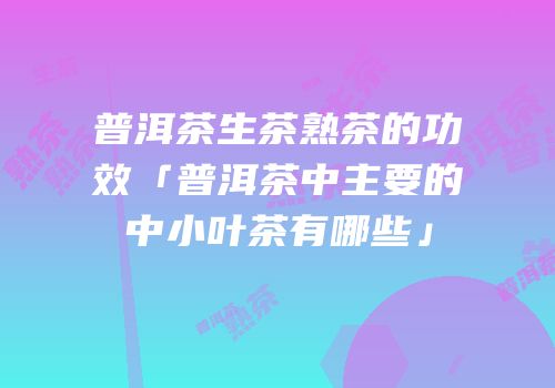 普洱茶生茶熟茶的功效「普洱茶中主要的中小叶茶有哪些」