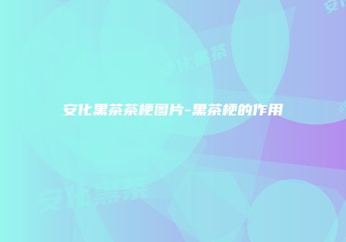 安化黑茶茶梗图片-黑茶梗的作用