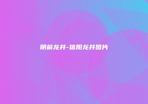 明前龙井-信阳龙井图片