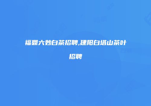 福鼎六妙白茶招聘,建阳白塔山茶叶招聘