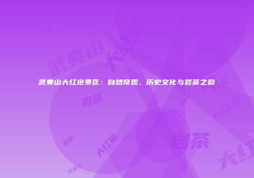武夷山大红袍景区：自然奇观、历史文化与岩茶之韵
