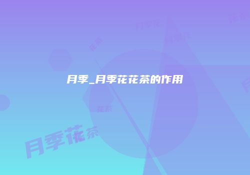 月季_月季花花茶的作用