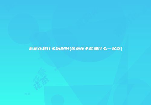 茉莉花和什么搭配好(茉莉花不能和什么一起吃)
