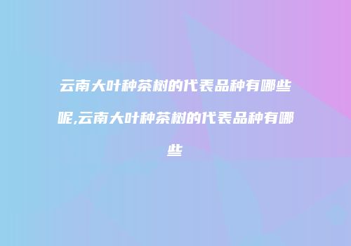 云南大叶种茶树的代表品种有哪些呢,云南大叶种茶树的代表品种有哪些