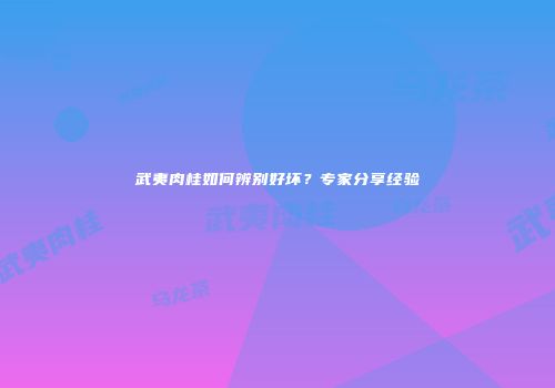 武夷肉桂如何辨别好坏？专家分享经验