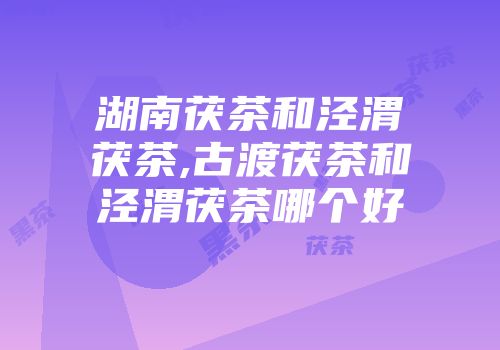 湖南茯茶和泾渭茯茶,古渡茯茶和泾渭茯茶哪个好