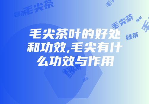 毛尖茶叶的好处和功效,毛尖有什么功效与作用