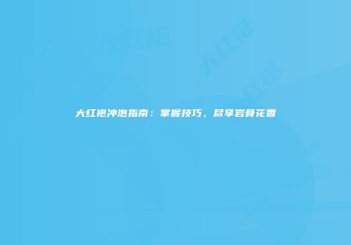 大红袍冲泡指南：掌握技巧，尽享岩骨花香