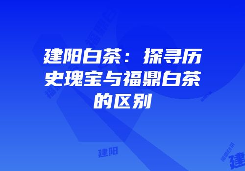 建阳白茶：探寻历史瑰宝与福鼎白茶的区别