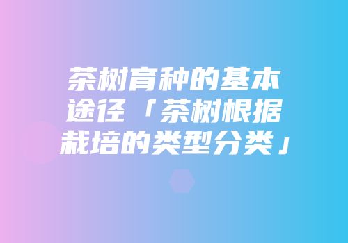 茶树育种的基本途径「茶树根据栽培的类型分类」