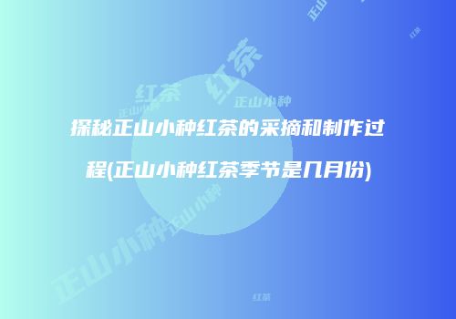 探秘正山小种红茶的采摘和制作过程(正山小种红茶季节是几月份)