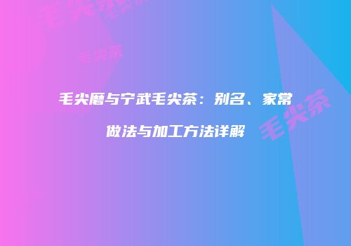 毛尖磨与宁武毛尖茶：别名、家常做法与加工方法详解