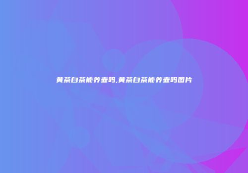 黄茶白茶能养壶吗,黄茶白茶能养壶吗图片