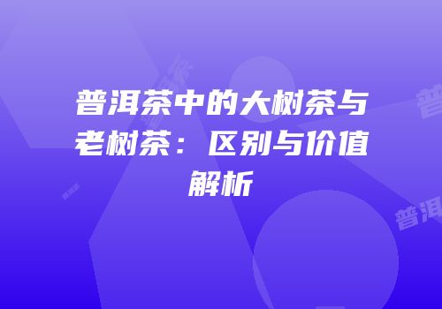 普洱茶中的大树茶与老树茶：区别与价值解析