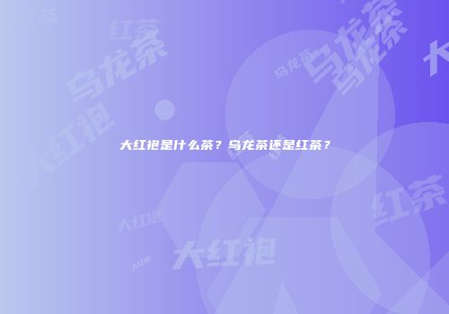 大红袍是什么茶？乌龙茶还是红茶？