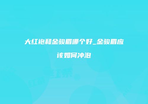 大红袍和金骏眉哪个好_金骏眉应该如何冲泡