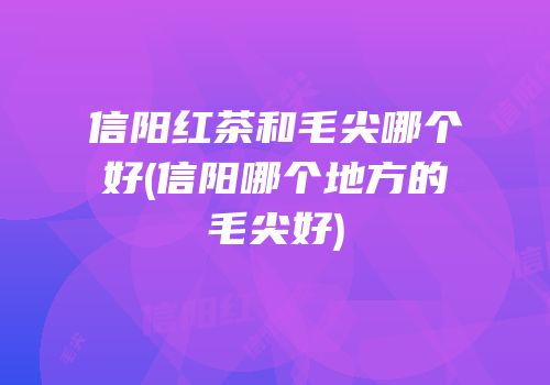 信阳红茶和毛尖哪个好(信阳哪个地方的毛尖好)