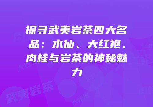 探寻武夷岩茶四大名品：水仙、大红袍、肉桂与岩茶的神秘魅力