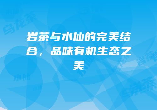 岩茶与水仙的完美结合，品味有机生态之美