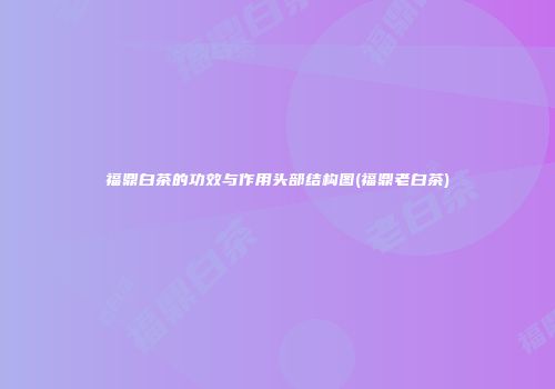 福鼎白茶的功效与作用头部结构图(福鼎老白茶)