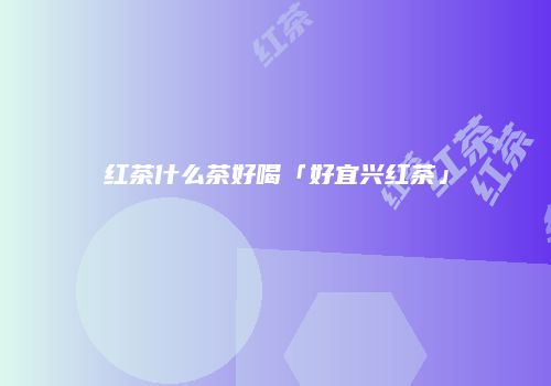 红茶什么茶好喝「好宜兴红茶」