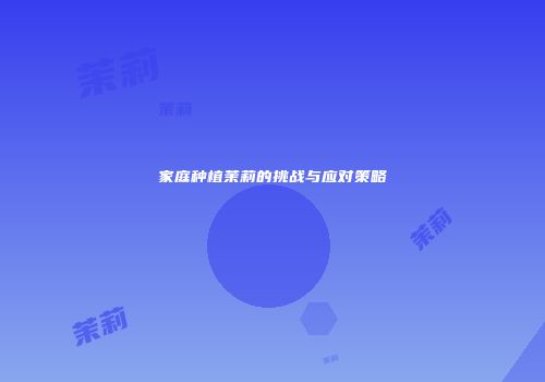 家庭种植茉莉的挑战与应对策略